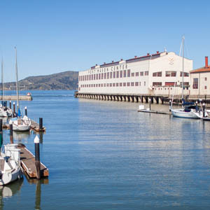 the hivery fort mason